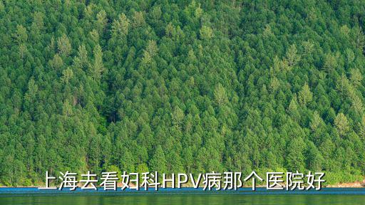 上海去看婦科HPV病那個醫院好
