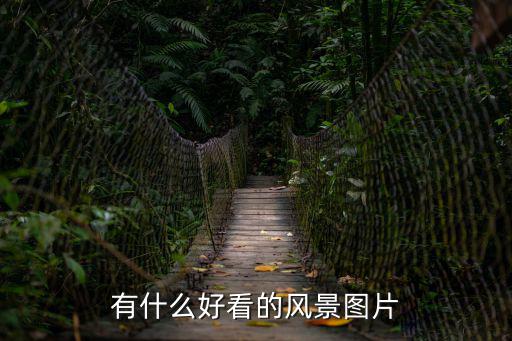 有什么好看的風景圖片