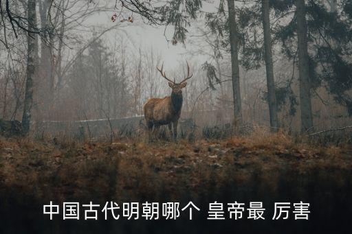 中國(guó)最厲害的皇帝,明朝功德最大的第三名皇帝真的很難選