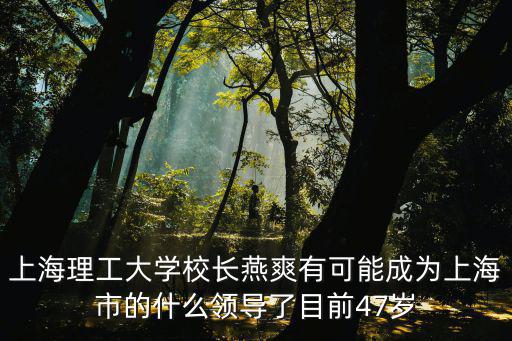 上海理工大學校長燕爽有可能成為上海市的什么領導了目前47歲