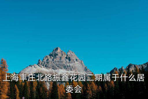 上海豐莊北路振鑫花園二期屬于什么居委會