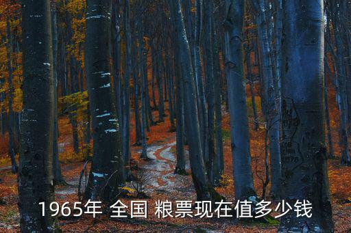 1965年 全國 糧票現在值多少錢