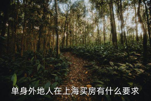 上海單身戶籍購房政策，上海戶籍單身限購政策