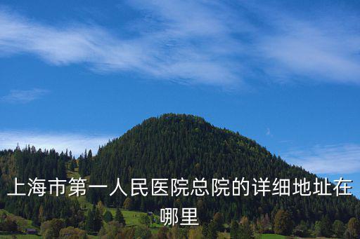 上海第一人民醫院南院地址，上海市第一人民醫院總院的詳細地址在哪里