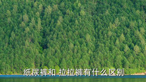  紙尿褲和 拉拉褲有什么區(qū)別