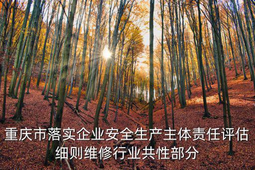 重慶市落實企業安全生產主體責任評估細則維修行業共性部分