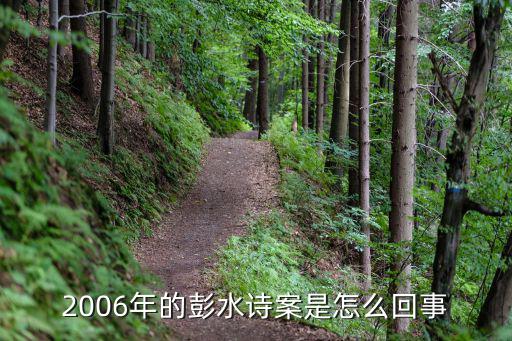 2006年的彭水詩案是怎么回事