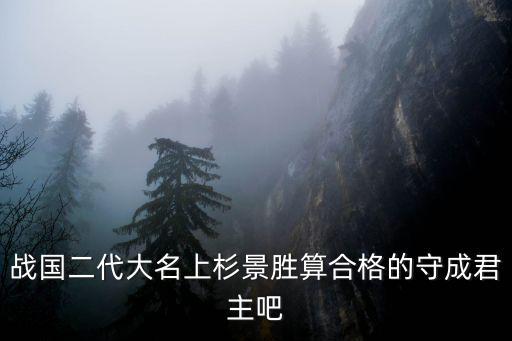 戰(zhàn)國二代大名上杉景勝算合格的守成君主吧
