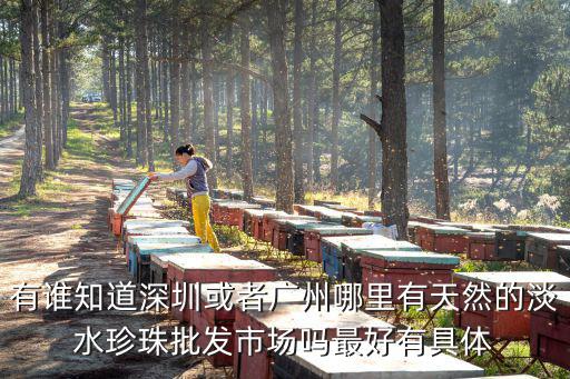 有誰知道深圳或者廣州哪里有天然的淡水珍珠批發(fā)市場嗎最好有具體