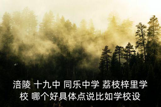 涪陵 十九中 同樂中學(xué) 荔枝梓里學(xué)校 哪個好具體點說比如學(xué)校設(shè)