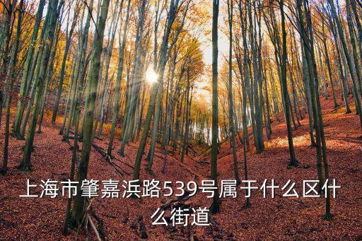 上海市肇嘉浜路539號屬于什么區什么街道