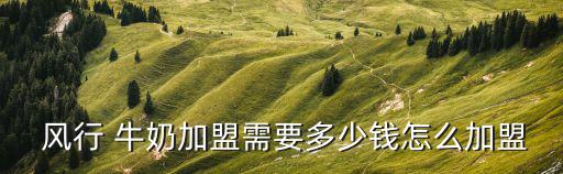  風(fēng)行 牛奶加盟需要多少錢怎么加盟