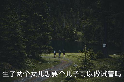 生了兩個(gè)女兒想要個(gè)兒子可以做試管嗎