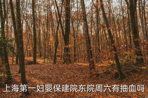上海第一婦嬰保建院東院周六有抽血嗎