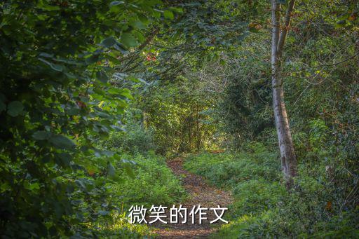 微笑的作文