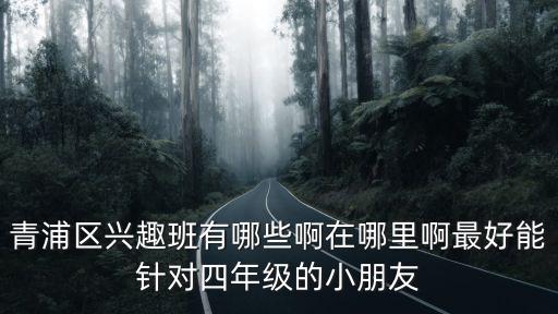 青浦區(qū)興趣班有哪些啊在哪里啊最好能針對四年級的小朋友
