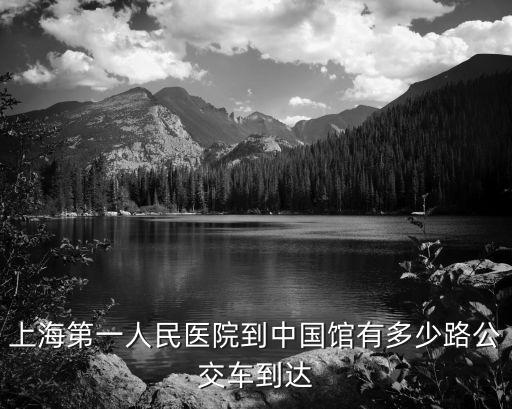 上海第一人民醫院到中國館有多少路公交車到達
