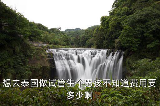 試管要男孩大概費(fèi)用多少，想做試管嬰兒生男孩不知多少錢(qián)
