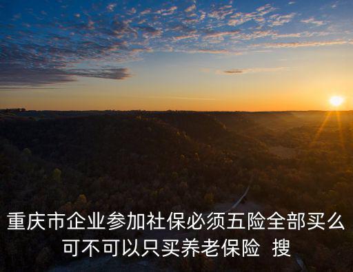 重慶市企業(yè)參加社保必須五險(xiǎn)全部買么可不可以只買養(yǎng)老保險(xiǎn)  搜