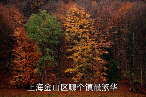 上海金山區(qū)哪個鎮(zhèn)最繁華