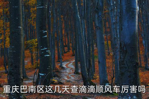 重慶巴南區(qū)這幾天查滴滴順風車厲害嗎