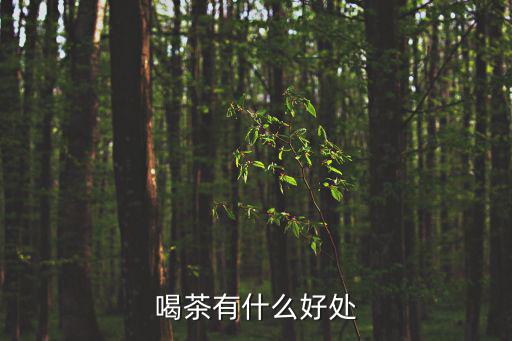 喝茶有什么好處