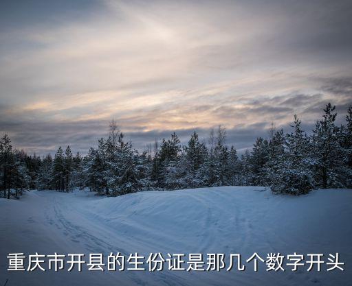 重慶市開縣的生份證是那幾個數字開頭