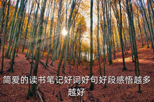 簡(jiǎn)愛的讀書筆記好詞好句好段感悟越多越好