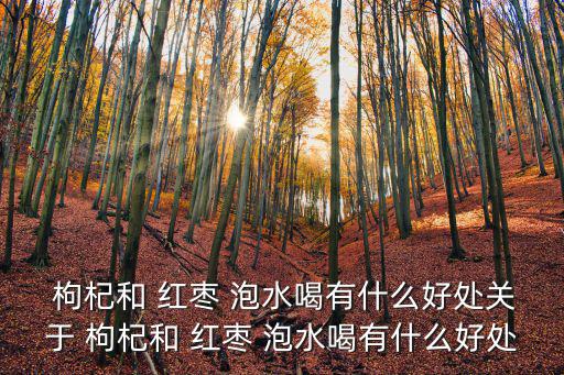  枸杞和 紅棗 泡水喝有什么好處關于 枸杞和 紅棗 泡水喝有什么好處