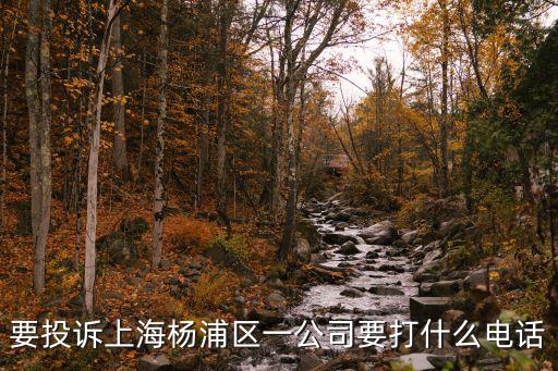 楊浦區投訴辦，要投訴上海楊浦區一公司要打什么電話