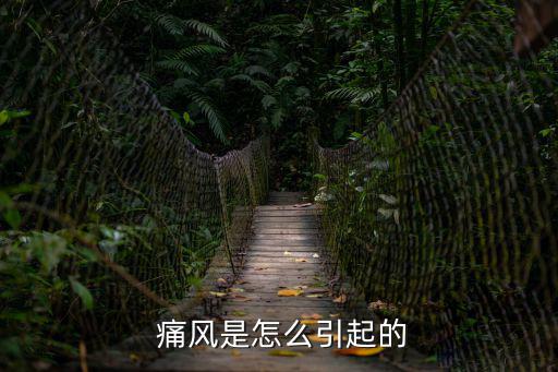  痛風(fēng)是怎么引起的