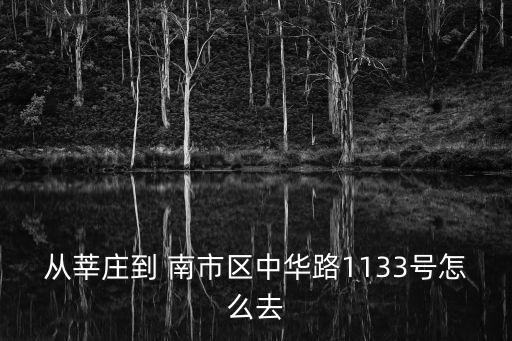 從莘莊到 南市區(qū)中華路1133號(hào)怎么去