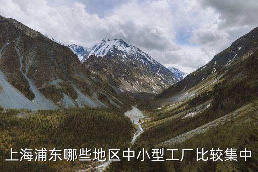 上海浦東哪些地區(qū)中小型工廠比較集中