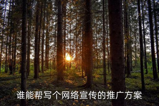 誰能幫寫個網絡宣傳的推廣方案