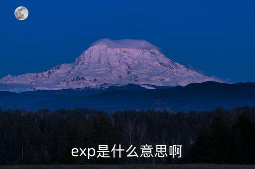 exp是什么意思啊