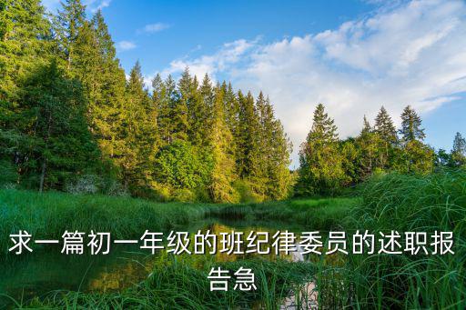 紀律委員述職報告，初中紀律委員工作總結