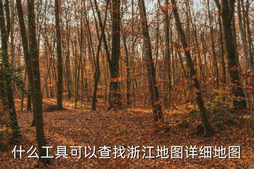 浙江省標(biāo)準(zhǔn)地圖，浙江義烏市地圖