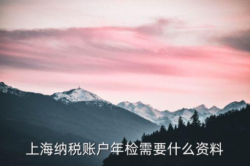 上海納稅賬戶年檢需要什么資料