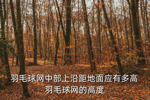 羽毛球網多高,關于羽毛球的規則有哪些?