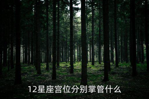 12星座宮位分別掌管什么