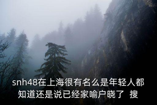 snh48在上海很有名么是年輕人都知道還是說已經家喻戶曉了  搜