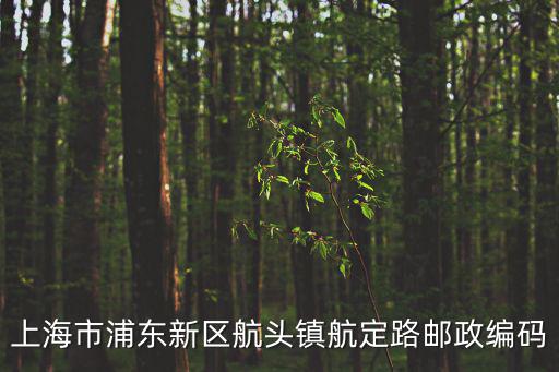 上海市航頭鎮航鶴路999弄582號，上海市浦東新區航頭鎮航定路郵政編碼