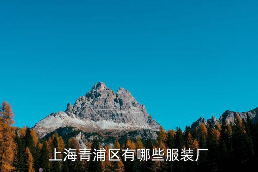 上海青浦區有哪些服裝廠