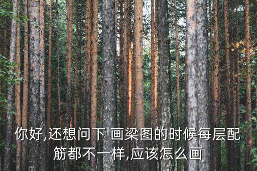 你好,還想問下 畫梁圖的時(shí)候每層配筋都不一樣,應(yīng)該怎么畫