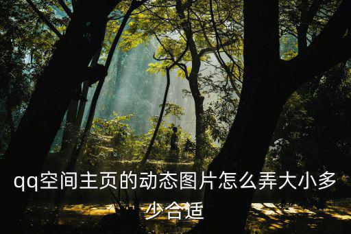 qq空間主頁的動態圖片怎么弄大小多少合適