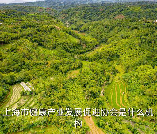 上海市健康產業發展促進協會是什么機構