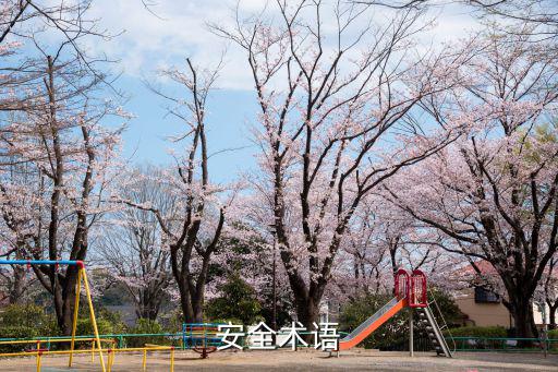 安全術(shù)語(yǔ)