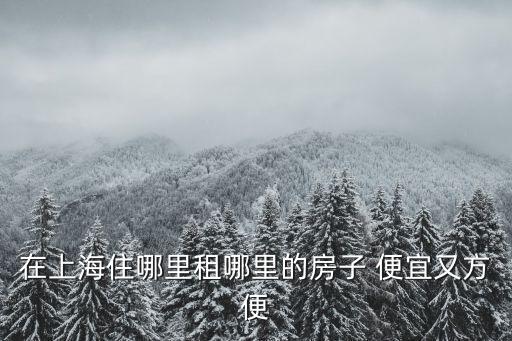 上海市黃浦斜土路區(qū)租了房子，上海黃浦區(qū)租房