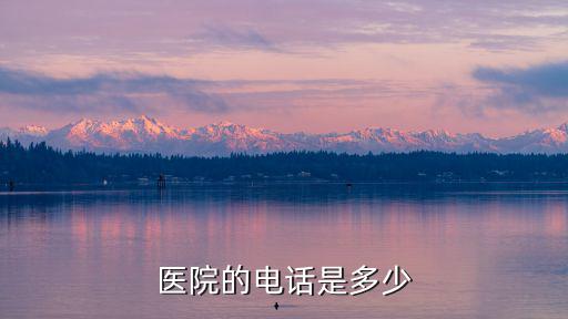 醫院的電話是多少