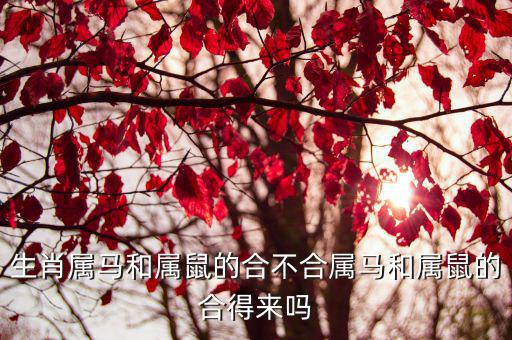 生肖屬馬和屬鼠的合不合屬馬和屬鼠的合得來嗎
